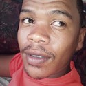 panax From Springbok, Northern Cape