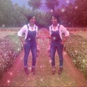 pindy3 Gallery Photo 1