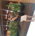 Teen Gallery Photo 2