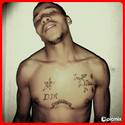 The Don8 Gallery Photo 2