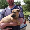 JJV2 From Randburg, Gauteng