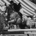 Dee732 Gallery Photo 2
