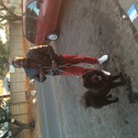 Chiboy Gallery Photo 2