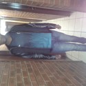 bibgee From Kempton Park, Gauteng