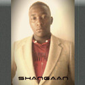 shangaaan Gallery Photo 2