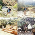 Maroufmm Gallery Photo 2