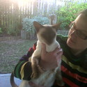 foxy69 Gallery Photo 5