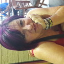 Bee122 From Midrand, Gauteng