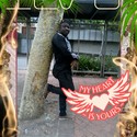 Peky Gallery Photo 1