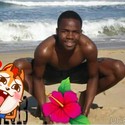 Sygnal Gallery Photo 6