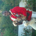 Gibbo From Midrand, Gauteng