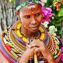 Soil 29 From Johannesburg, Gauteng