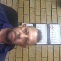 lion 4 life From Boksburg, Gauteng
