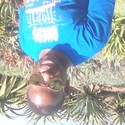 ulemu Howick