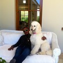 ifrancisco Gallery Photo 5