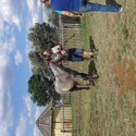 Anton15 From Pretoria, Gauteng