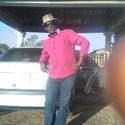 the great3 Gallery Photo 5