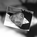 Joenz From Krugersdorp, Gauteng