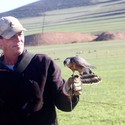 Alan4 From Cape Town, Western Cape