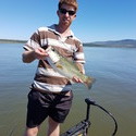 Ed15 From Pietermaritzburg, Kwazulu-Natal