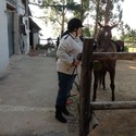 Tans6 Gallery Photo 1