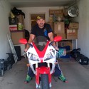 brody From Vereeniging, Gauteng