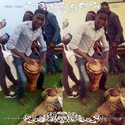 king rabs Gallery Photo 1