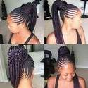Dodo16 From Pretoria, Gauteng