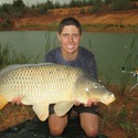 Willlem From Benoni, Gauteng
