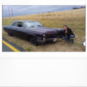 jay238 From Mossel Bay, Western Cape