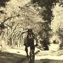 Doxiadis Gallery Photo 1