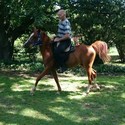 ExplorerJS From Pretoria, Gauteng