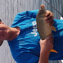 Lekker ding From Witbank, Mpumalanga