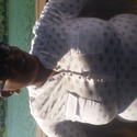 Bee88 From Middelburg %28mp%29, Mpumalanga
