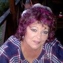 Gypsy From Middelburg %28mp%29, Mpumalanga