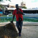 Heavy Dee Gallery Photo 5