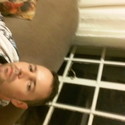 stoutgatkees Gallery Photo 2
