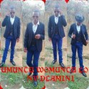Dr Mnandi Gallery Photo 2