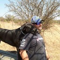 lens From Pretoria, Gauteng