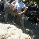 Rumbie Gallery Photo 2
