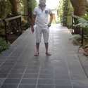Sandas Gallery Photo 1