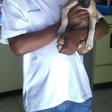 Geomo2 From Mokopane, Limpopo