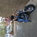foenix From Sandton, Gauteng