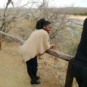 petu2 Gallery Photo 1