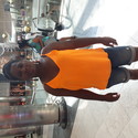 Bee71 From Midrand, Gauteng