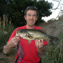 Avonman From Vereeniging, Gauteng