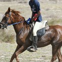 Brian60 From Franschhoek, Western Cape