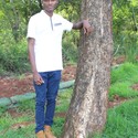 Sniegon From Thohoyandou, Limpopo