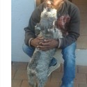 maphia From Pretoria, Gauteng