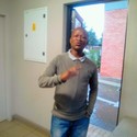 mario12 Gallery Photo 4